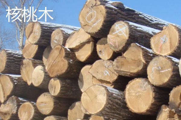 核桃木和胡桃木的区别