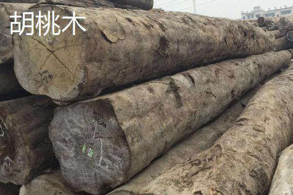 核桃木和胡桃木的区别