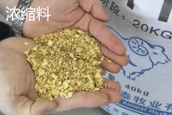 预混料和浓缩料有什么区别,作用是什么