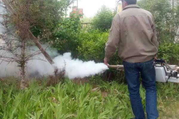 氯氰菊酯能杀什么虫,和高效氯氰菊酯有什么区别