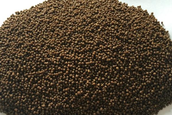 鲟鱼吃什么饲料，附养殖方法