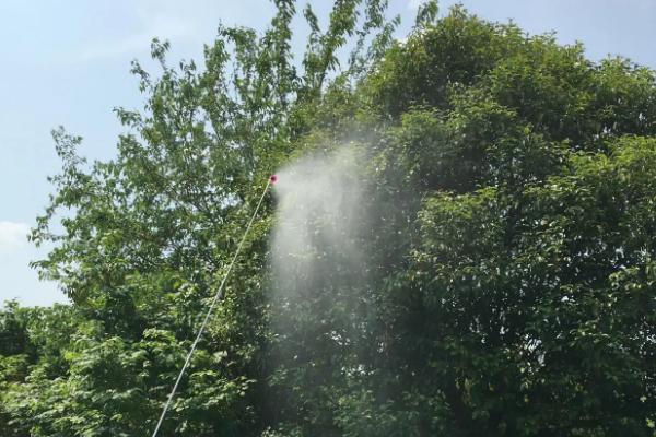 松脂酸铜最佳复配，松脂酸铜的作用