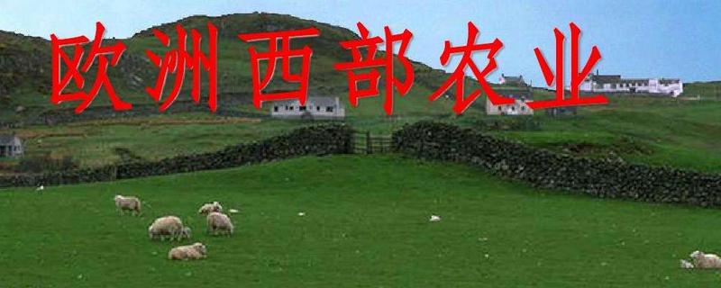 欧洲西部农业特点，欧洲西部农业以什么为主