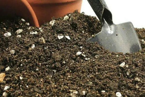 微生物菌剂使用方法,与菌肥有什么区别