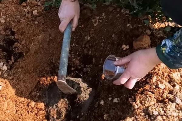 微生物菌剂使用方法,与菌肥有什么区别