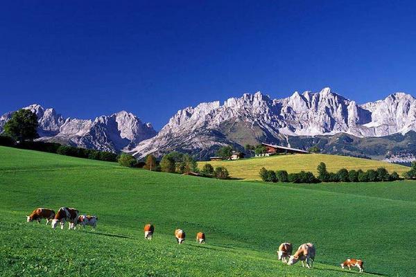 欧洲西部农业特点,欧洲西部农业以什么为主