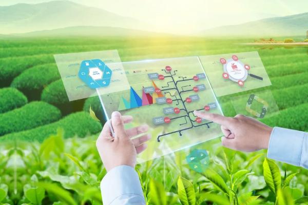 数字农业与智慧农业区别，有哪些主要内容