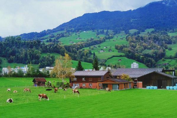 欧洲西部农业特点,欧洲西部农业以什么为主