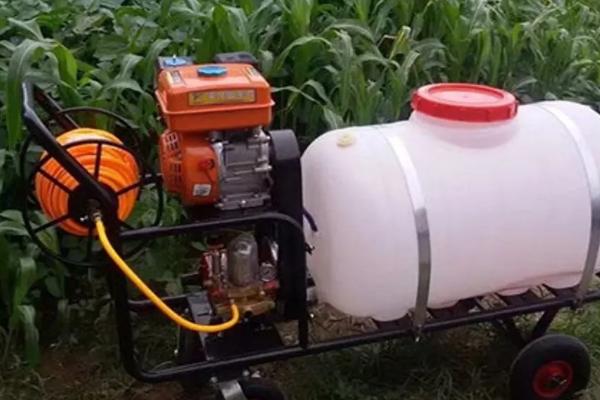 粉锈宁与三唑酮区别，粉锈宁能治疗哪些病