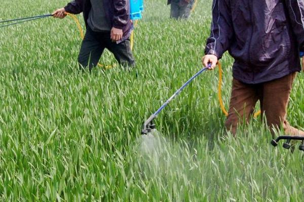 己唑醇不能和什么混用，与戊唑醇有什么区别