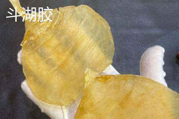 鳗鱼鱼胶与其他鱼胶的区别