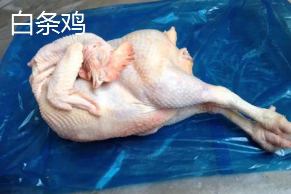 三黄鸡和白条鸡的区别