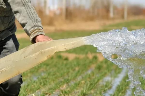 拇指西瓜适合中国哪里种植,拇指西瓜产地在哪里