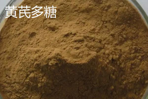 黄芪多糖能长期饲喂吗,黄芪多糖能和头孢一起打吗