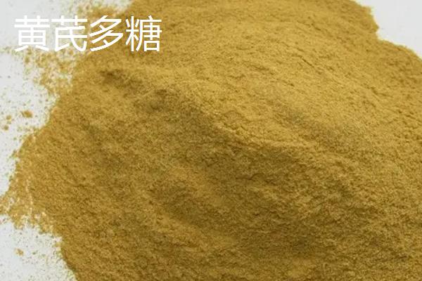 黄芪多糖能长期饲喂吗,黄芪多糖能和头孢一起打吗