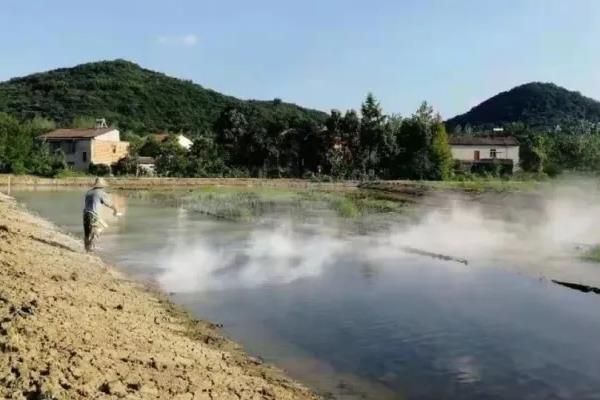 鱼塘的鱼死了是什么原因,鱼塘消毒用什么药