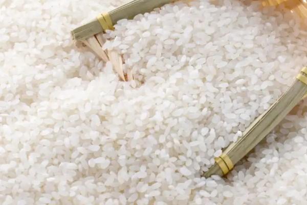 杂交米属于什么米,和大米有什么区别