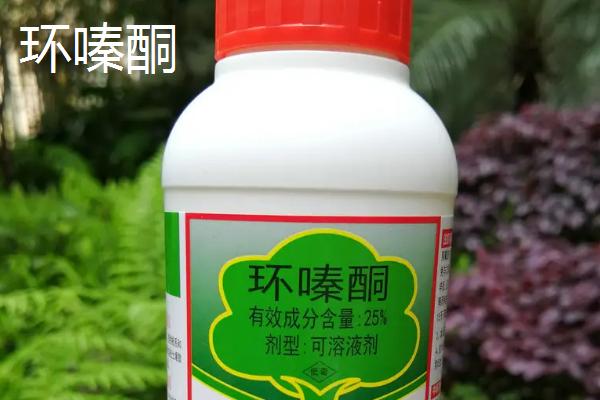 杂树用什么农药根除,杂树包括什么树种