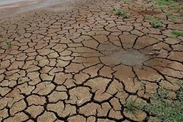 养殖牲畜会消耗哪些资源?对环境造成什么样的污染?