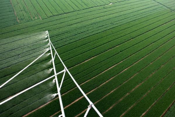 美国农业生产特点,附分布特点