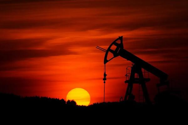 养殖牲畜会消耗哪些资源?对环境造成什么样的污染?