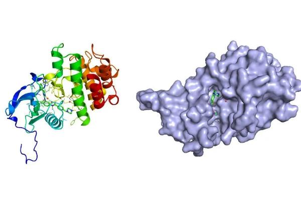 养殖牲畜会消耗哪些资源?对环境造成什么样的污染?