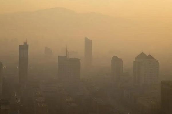 养殖牲畜会消耗哪些资源?对环境造成什么样的污染?