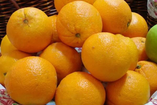 橙子优质丰产的条件，橙子如何挑选