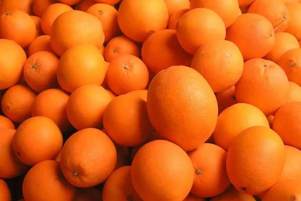 橙子优质丰产的条件，橙子如何挑选