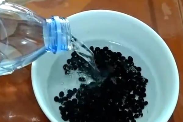 黑豆苗怎么生,黑豆苗长叶子了还能吃吗