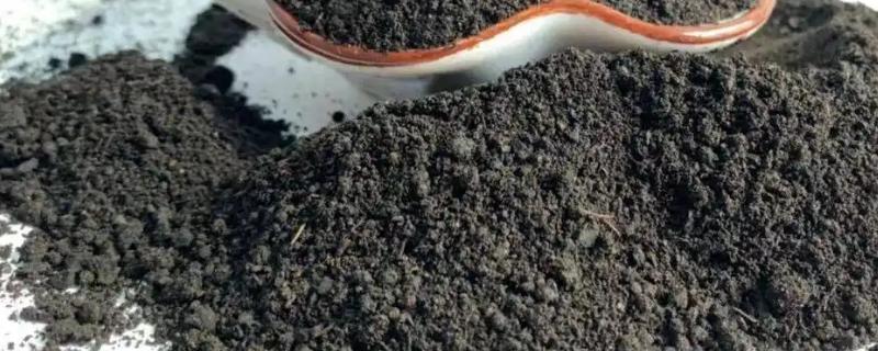 菌肥的正确使用方法，附菌肥的作用