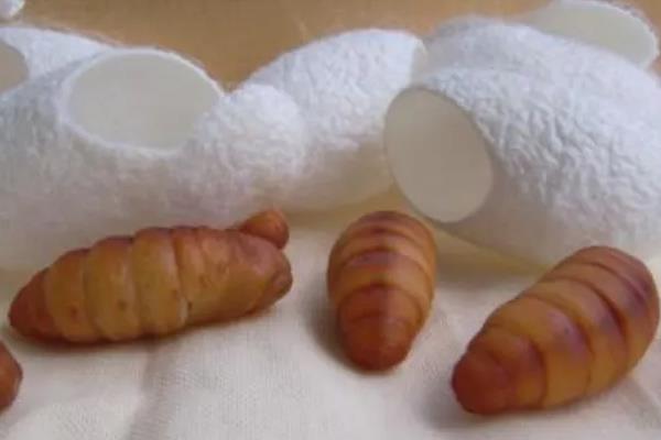 蚕蛋要孵多久才能变成蚕虫，蚕一生经历哪四个阶段