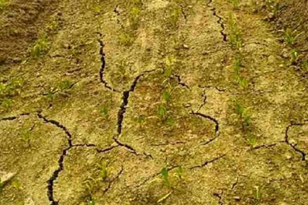 10l土等于多少斤,土壤板结如何快速改良