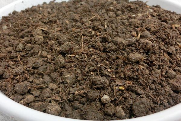 10l土等于多少斤,土壤板结如何快速改良