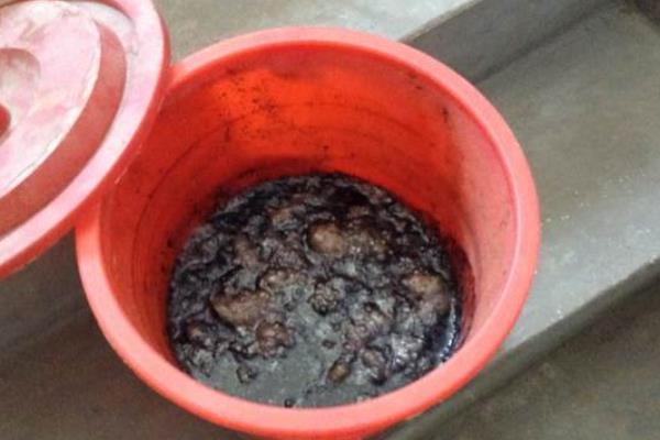 鸽子粪泡水能发酵吗，鸽子粪对人体有哪些危害