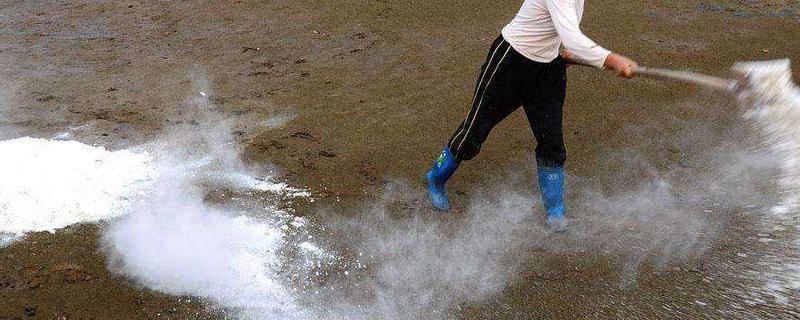 生石灰清塘后要几天才能放苗，生石灰和熟石灰的区别