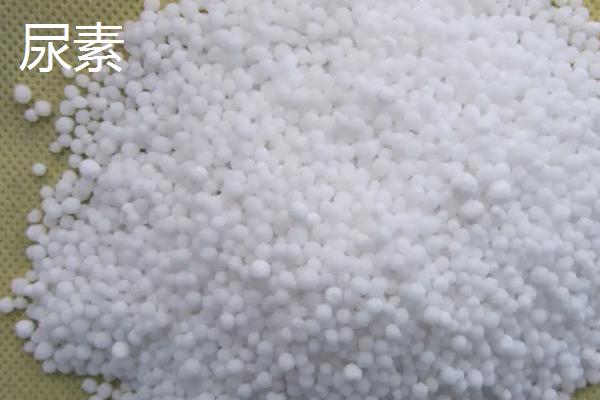 尿素与复合肥的区别,尿素的主要成分是什么