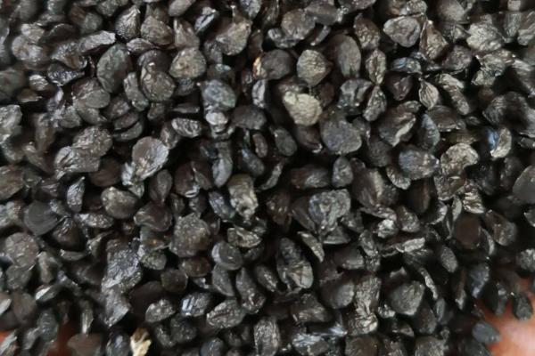 二月份可以种韭菜吗,韭菜可以连续收割吗