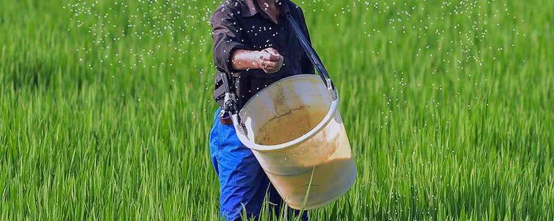 磷酸钾是什么肥料，磷酸钾和磷酸二氢钾有什么区别