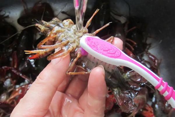 小龙虾用去虾线吗