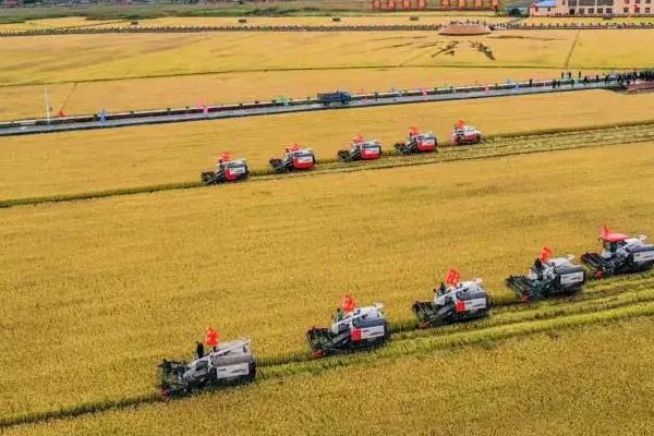 农业发展的四个阶段