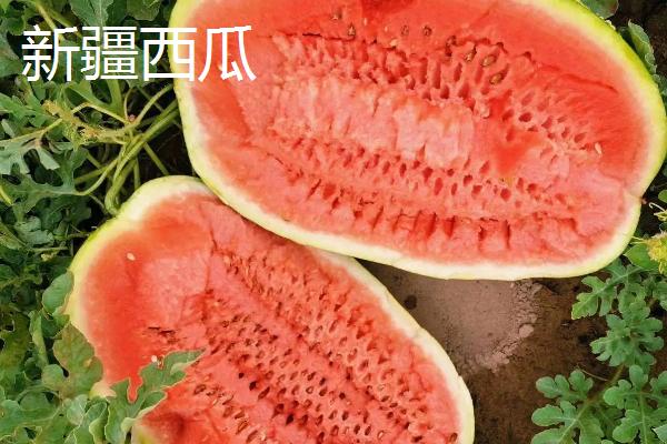 宁夏西瓜产地在哪里，
