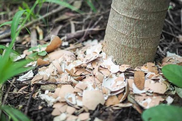 水肥发酵方法,水肥是酸性还是碱性