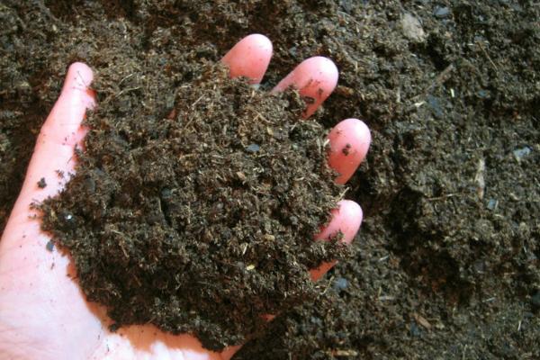 大面积土壤杀菌方法，土壤杀菌剂怎么正确使用