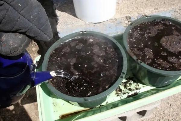 大面积土壤杀菌方法，土壤杀菌剂怎么正确使用