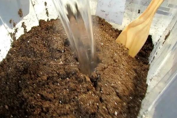 大面积土壤杀菌方法，土壤杀菌剂怎么正确使用