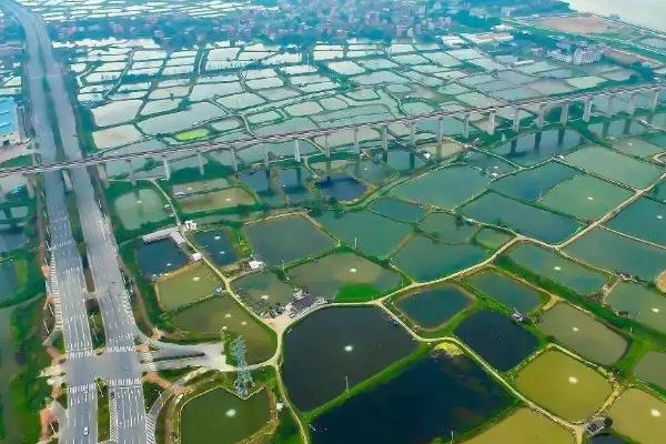 桑基鱼塘的原理,桑基鱼塘的优点