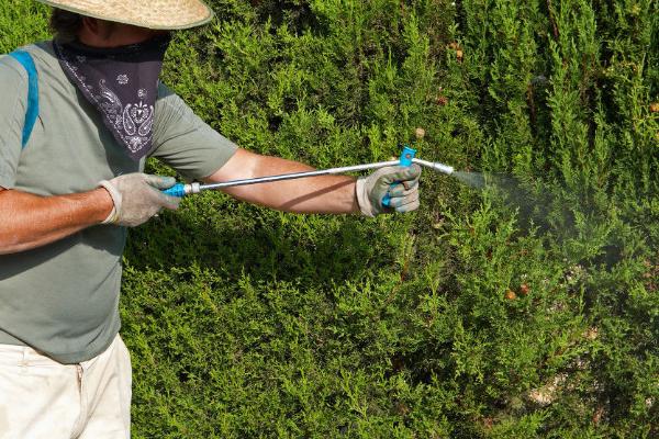 氟啶虫胺腈杀什么虫,氟啶虫胺腈的优缺点