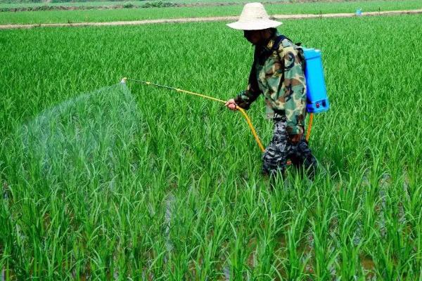 氟啶虫胺腈杀什么虫,氟啶虫胺腈的优缺点