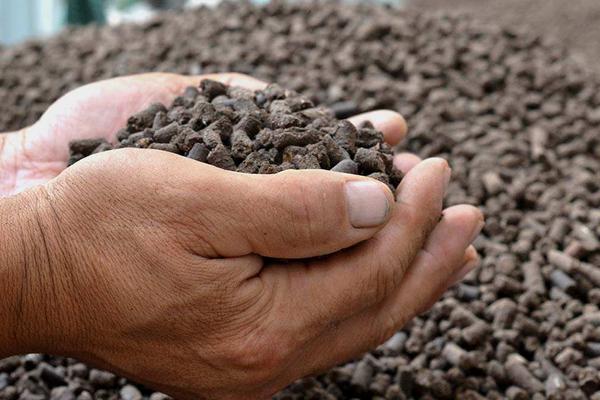 鲜鸡粪如何处理才能使用,鸡粪肥属于有机肥吗